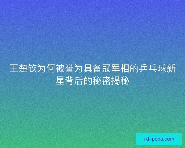 王楚钦为何被誉为具备冠军相的乒乓球新星背后的秘密揭秘